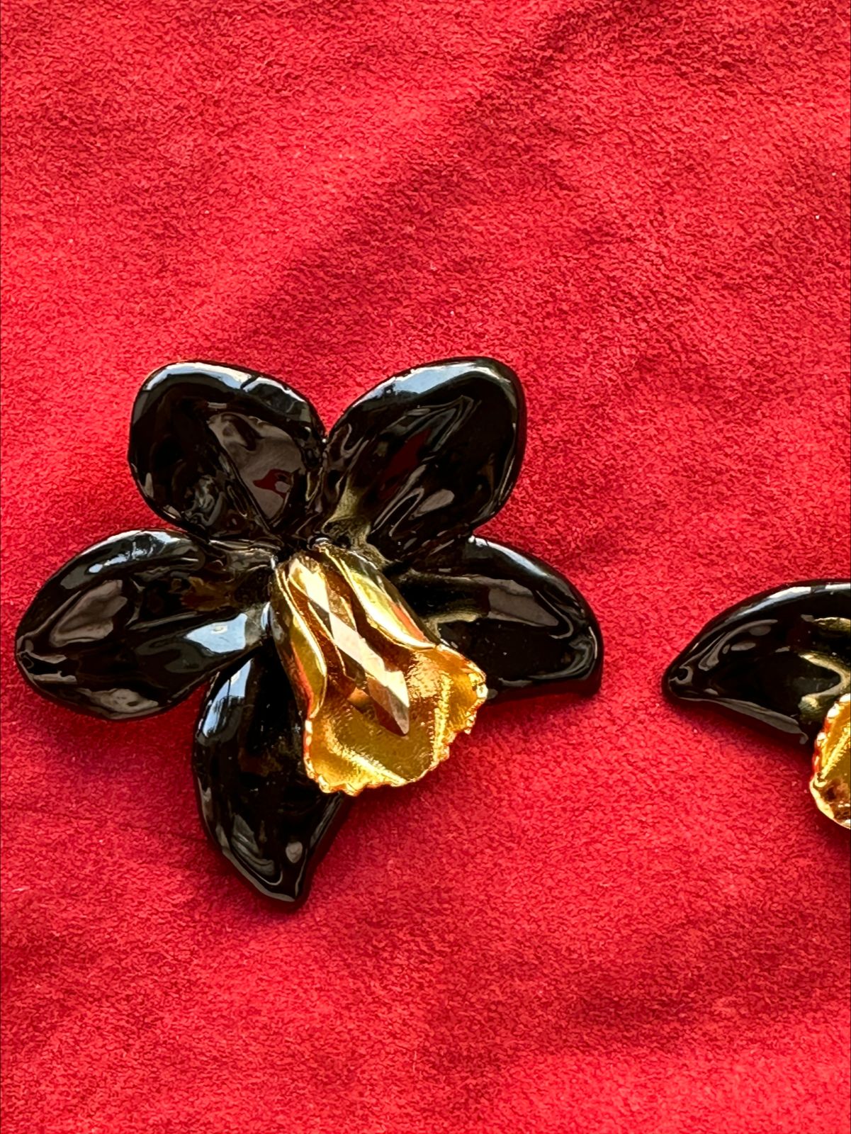 Black Orchids in Glossy Finish