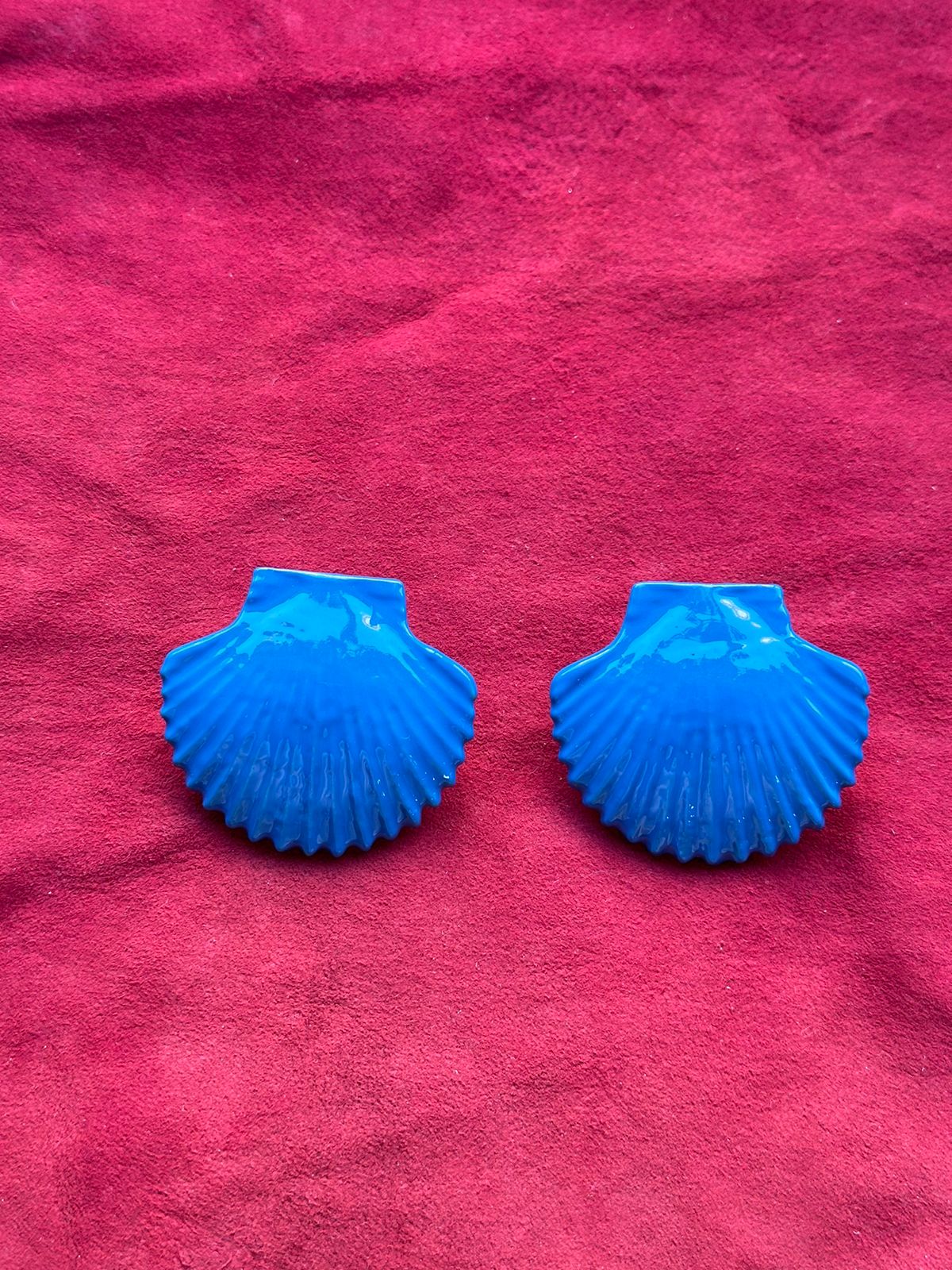 Glossy Finish Blue Shell Earrings