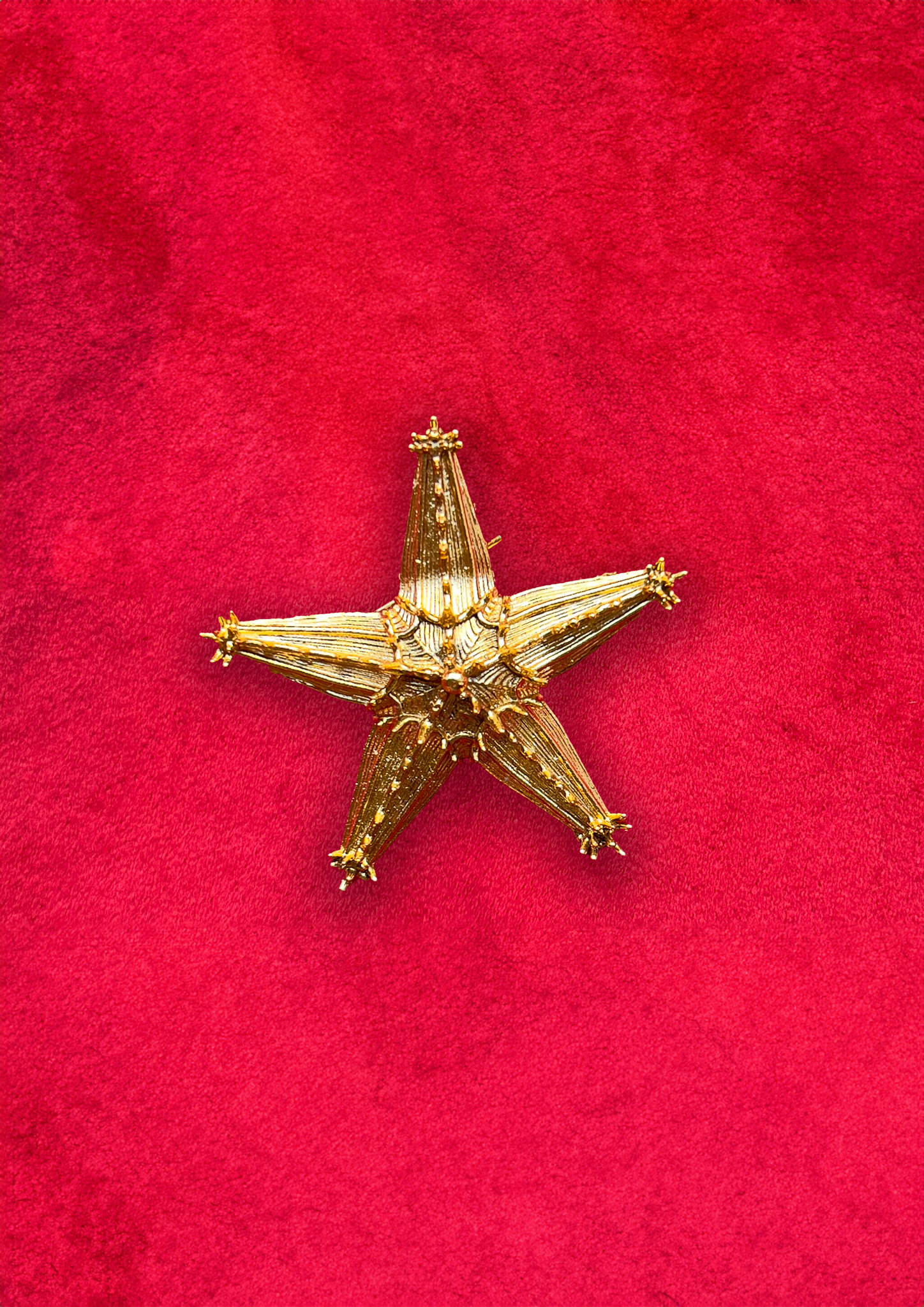 Starfish Brooch (Gold)