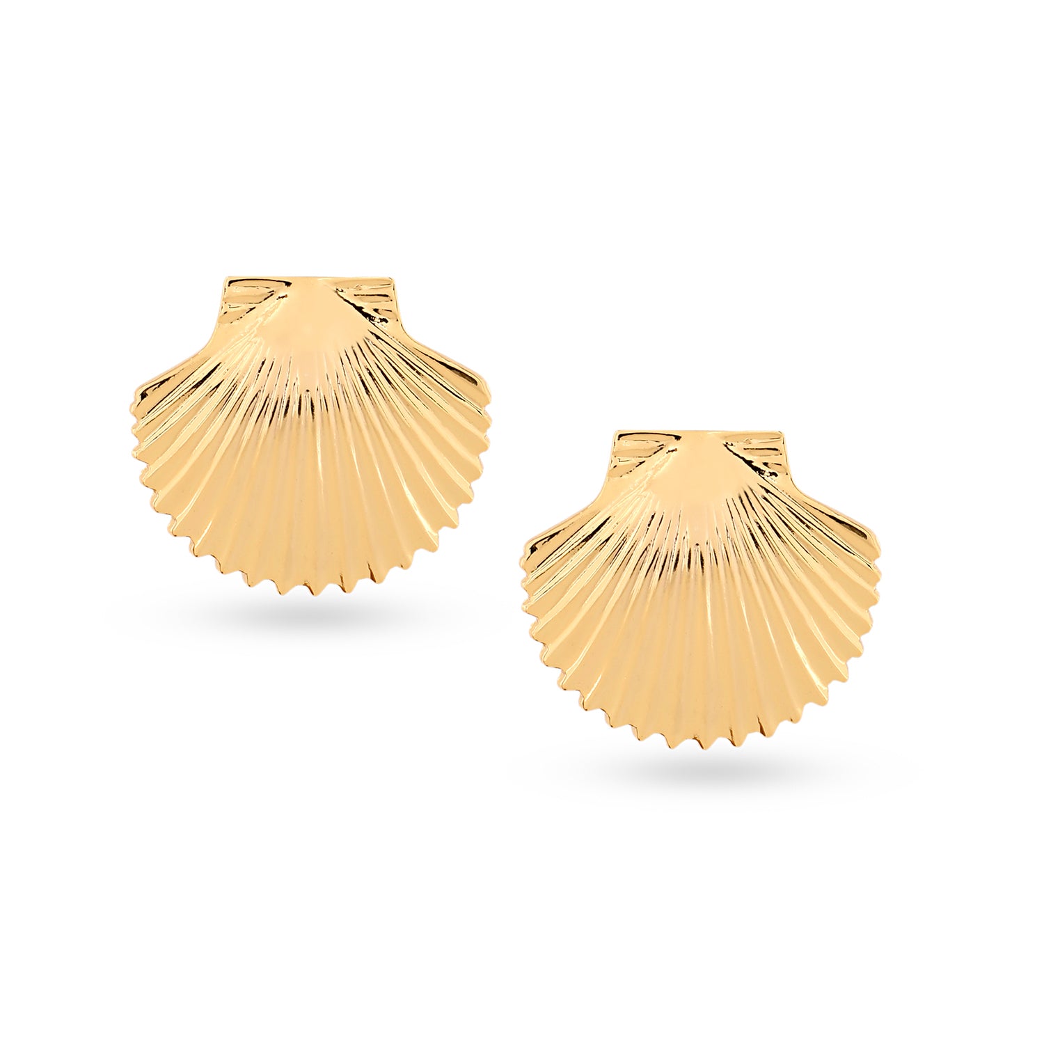 Shell Top Earrings (Gold)