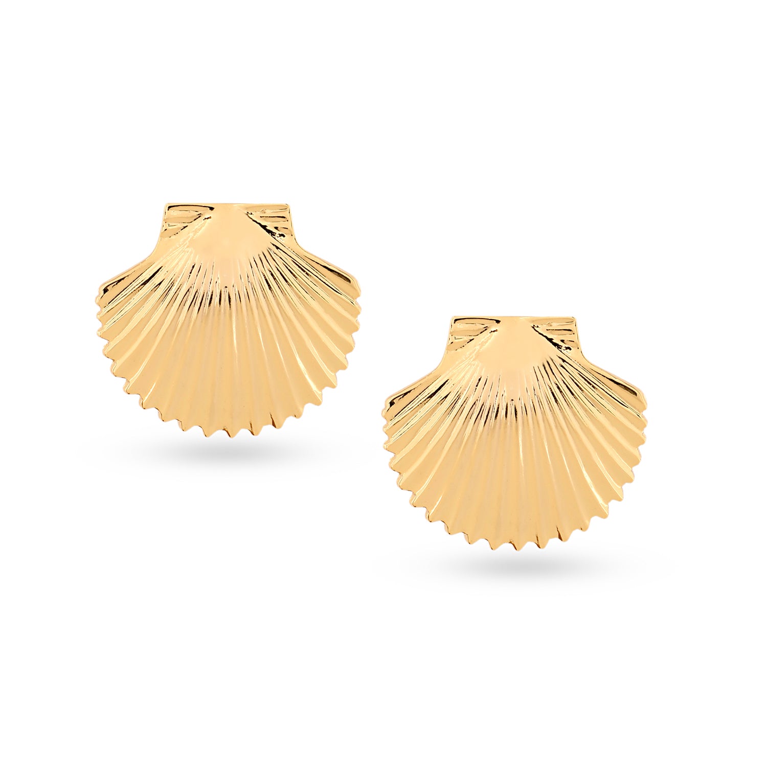 Shell Top earrings