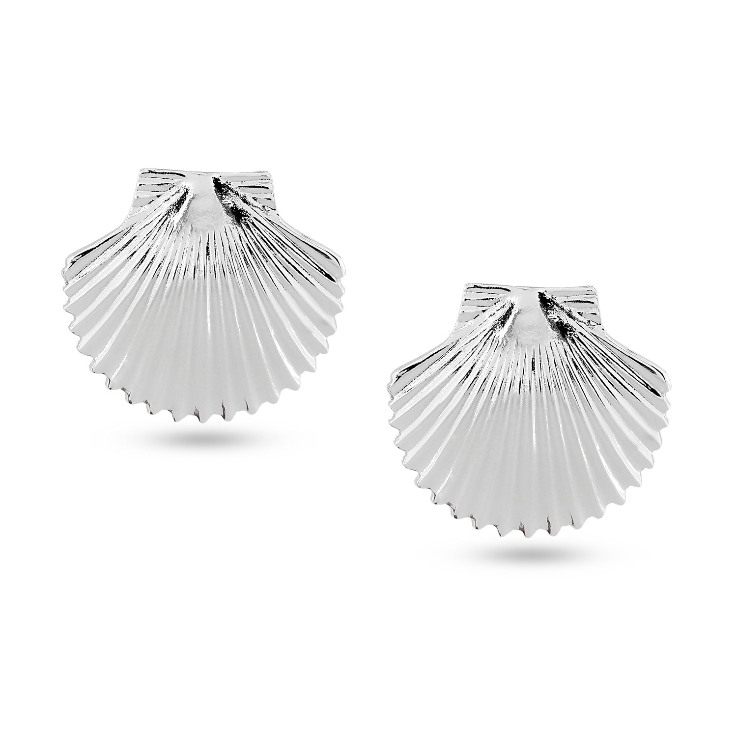 Shell Top Earrings (Silver)