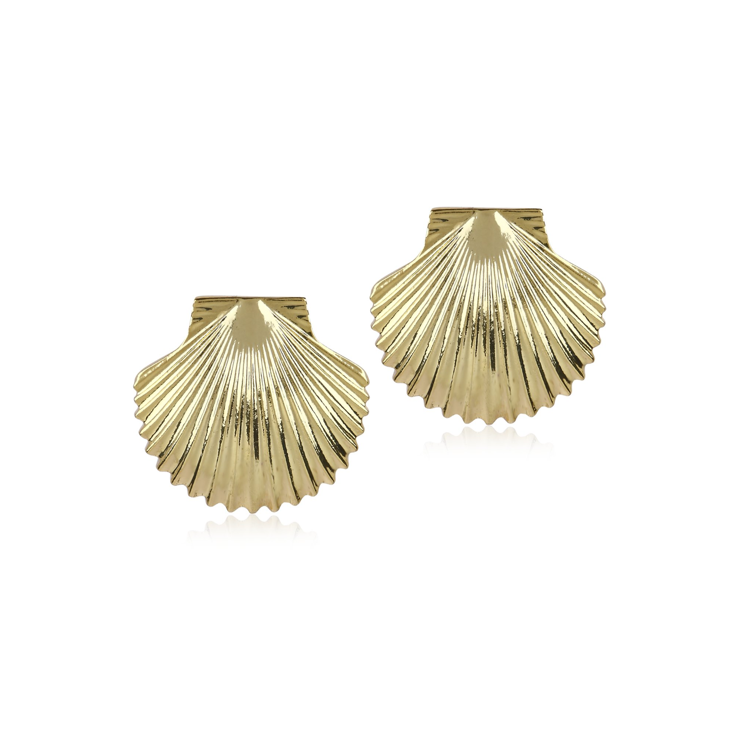Shell Top Earrings (Gold)