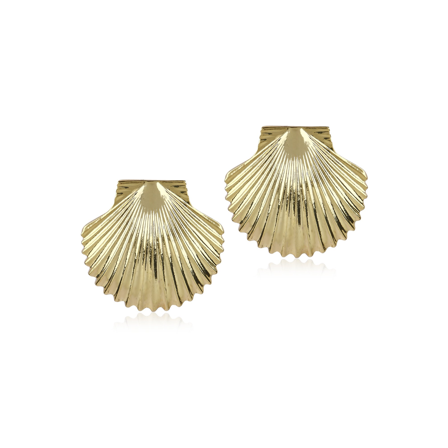 Shell Top earrings